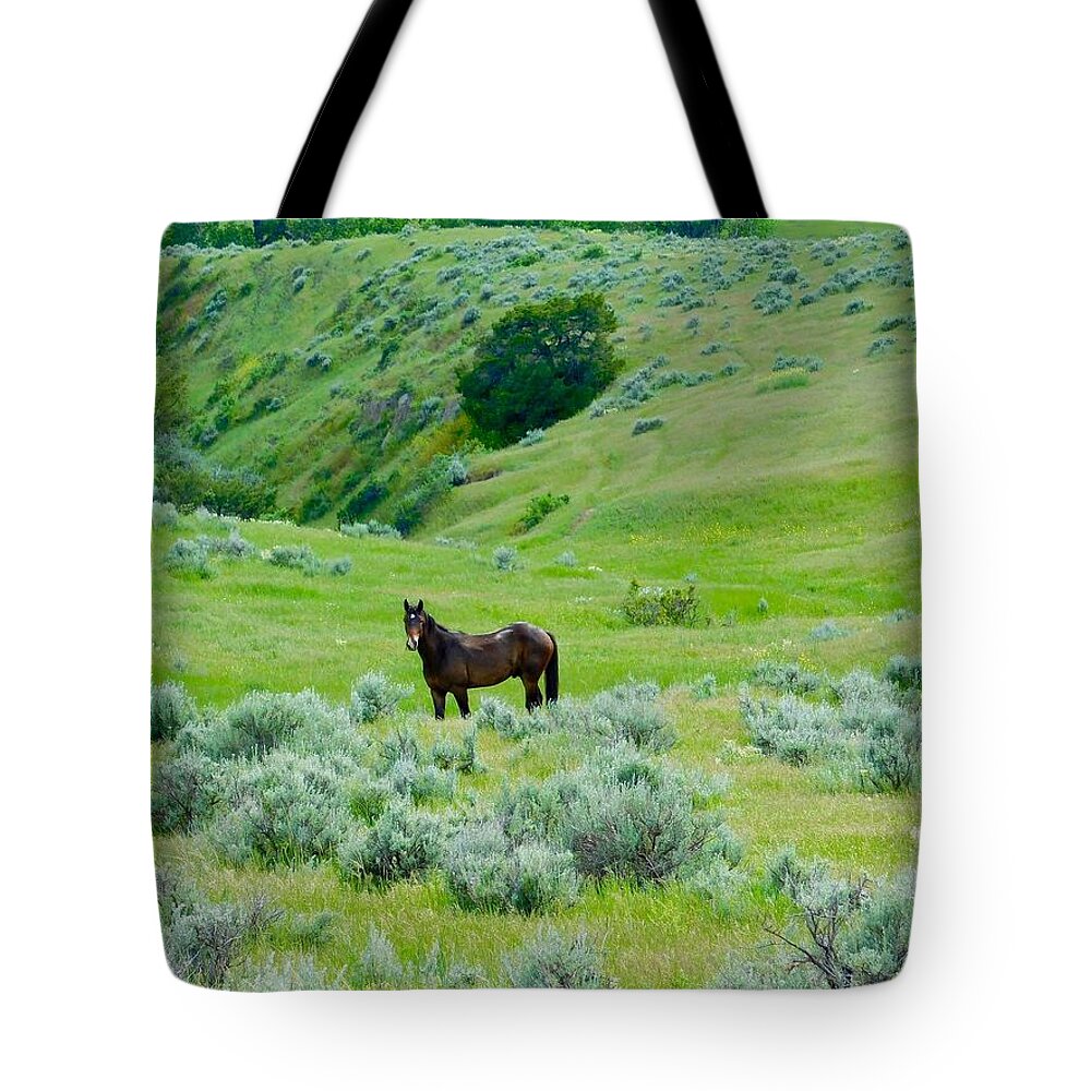 Horse Tote Bag featuring the photograph Horse in the Little Bighorn Valley by Dan Miller