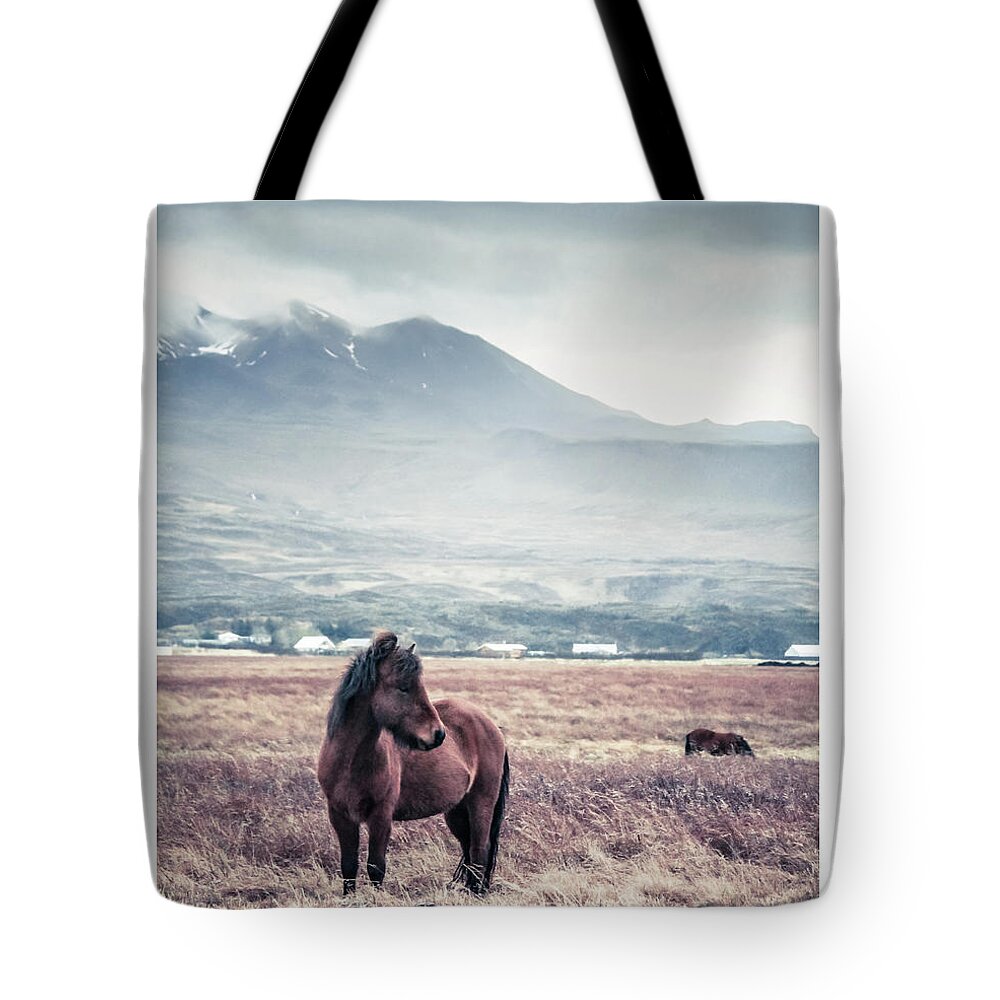 Horse Tote Bag featuring the photograph Horse by Lise Ulrich Fine Art Photography