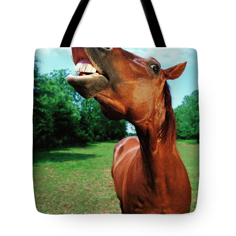 Horse Tote Bag featuring the photograph Horse Neighing by Digital Vision.