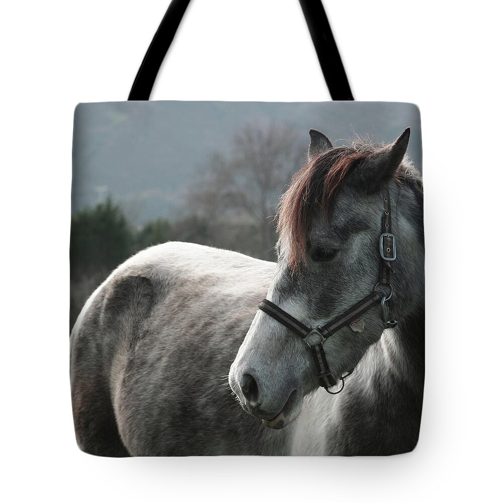 Horse Tote Bag featuring the photograph Horse by Saulgranda
