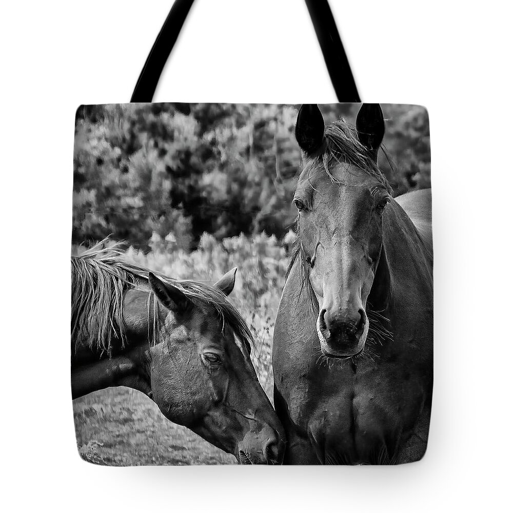 2018 Tote Bag featuring the digital art Horses on Pereau Rd by Ken Morris