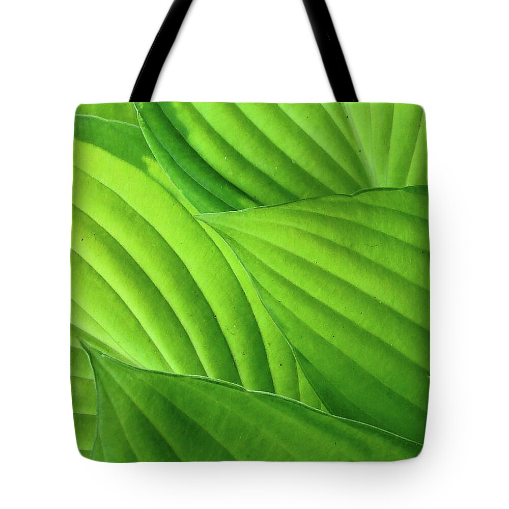 Natural Pattern Tote Bag featuring the photograph Hosta Leaves by Photograph By Judith Green