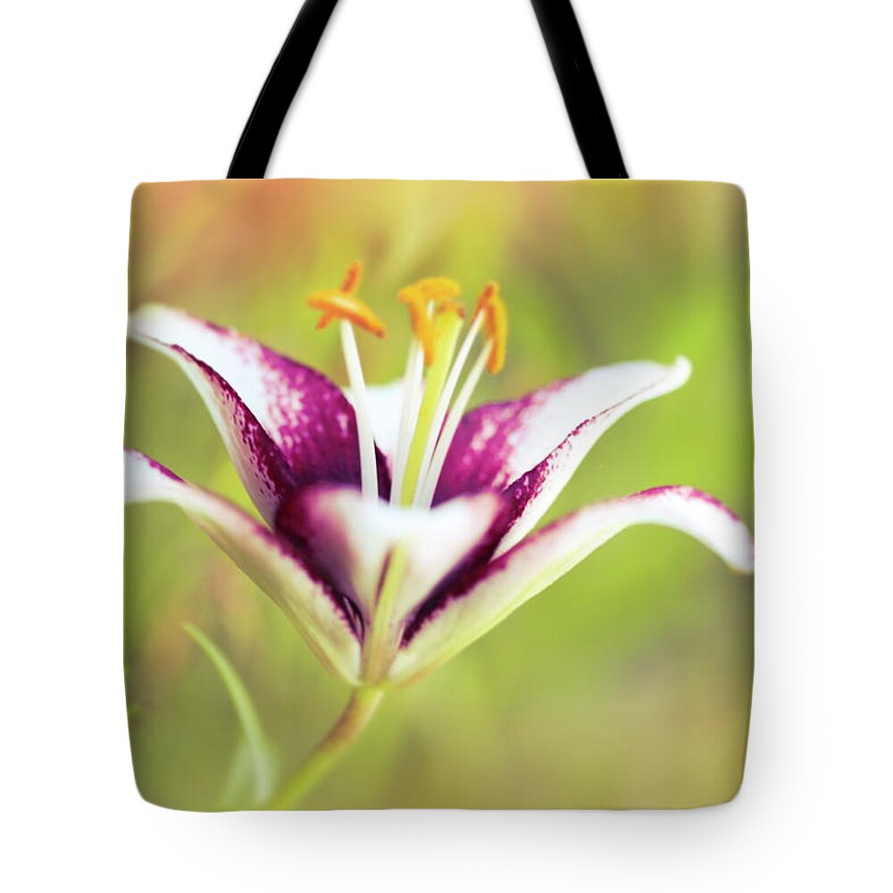Flower Tote Bag featuring the digital art Hot Summer by Renette Coachman