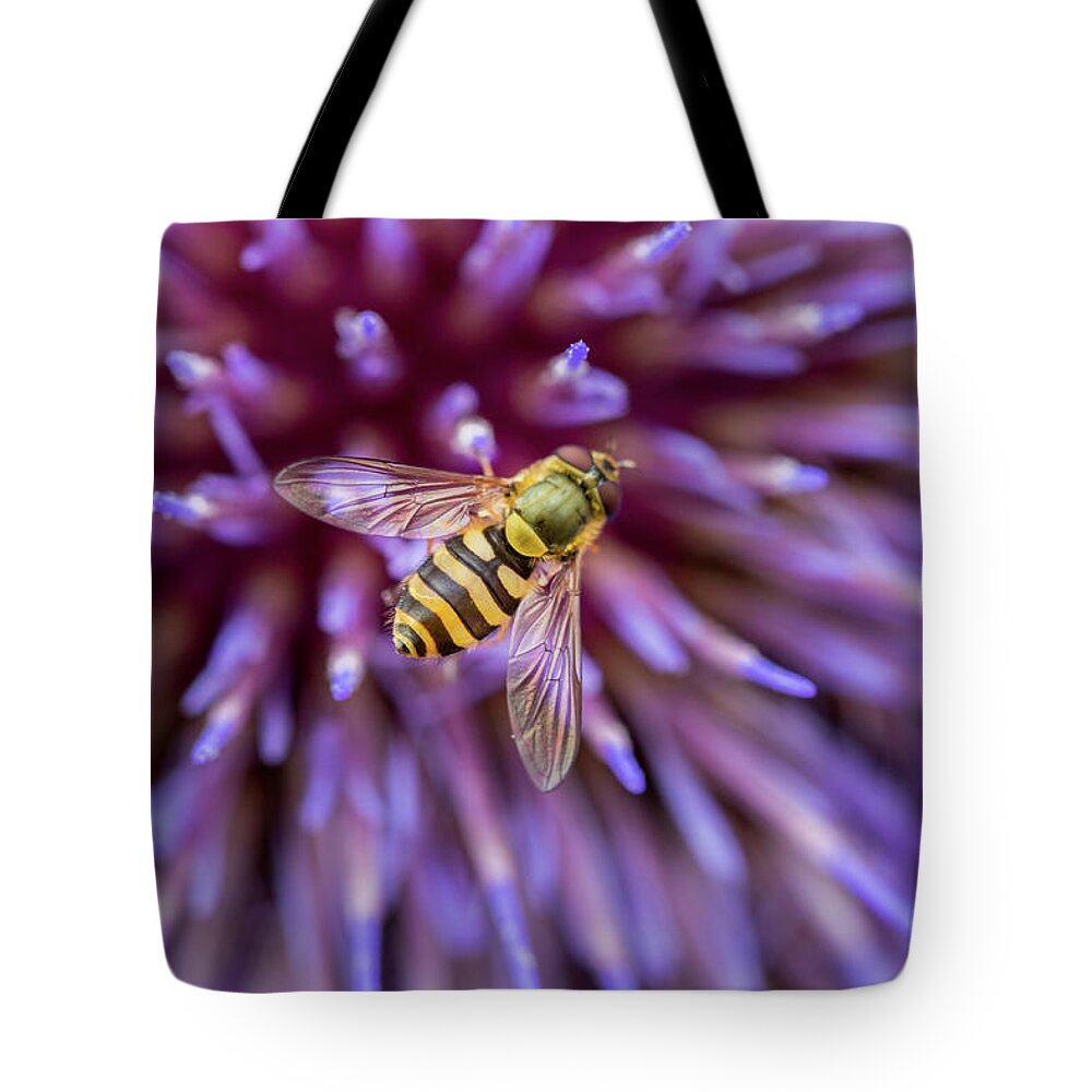 Macro Tote Bag featuring the photograph Hoverfly Resting on a Giant Purple Thistle by Anita Nicholson