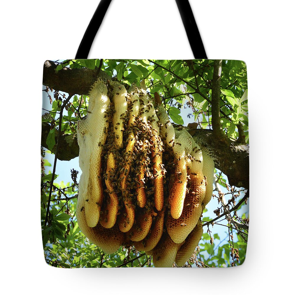 Honey Bee Tote Bag featuring the photograph Huge Bee's Nest by Jerry Griffin