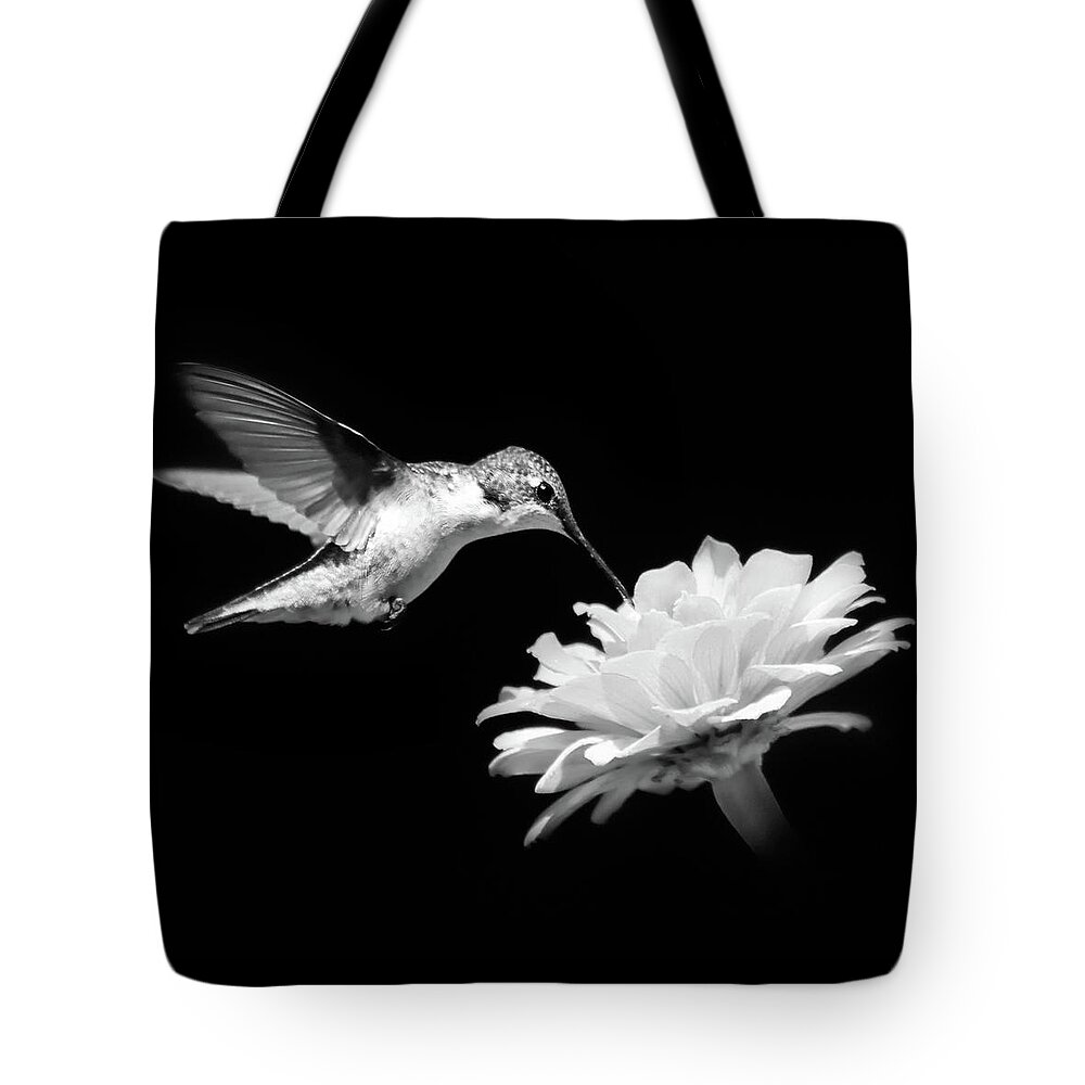 Hummingbird Tote Bag featuring the photograph Hummingbird And Flower Black And White by Christina Rollo