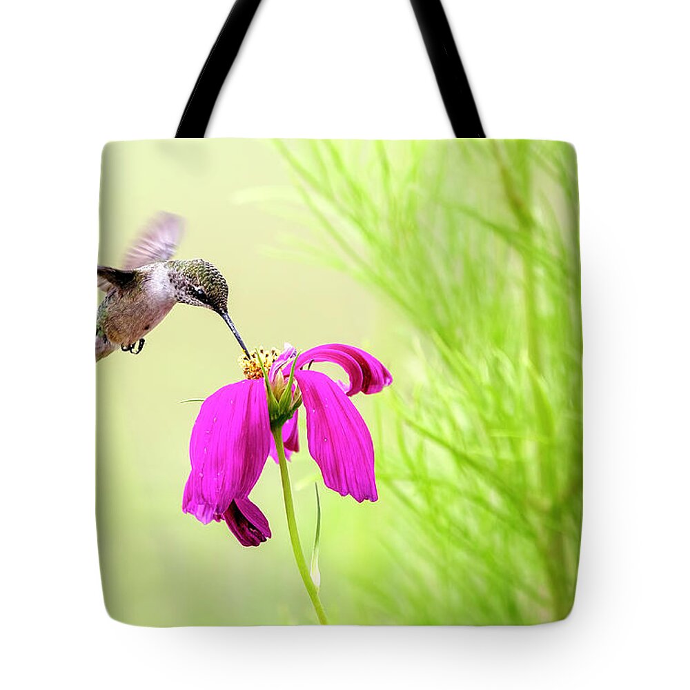 Hummingbird Tote Bag featuring the photograph Hummingbird Feeding by Deborah Penland