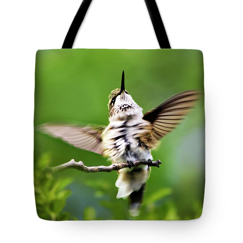 Hummingbird Tote Bag featuring the photograph Hummingbird Happy Dance by Christina Rollo