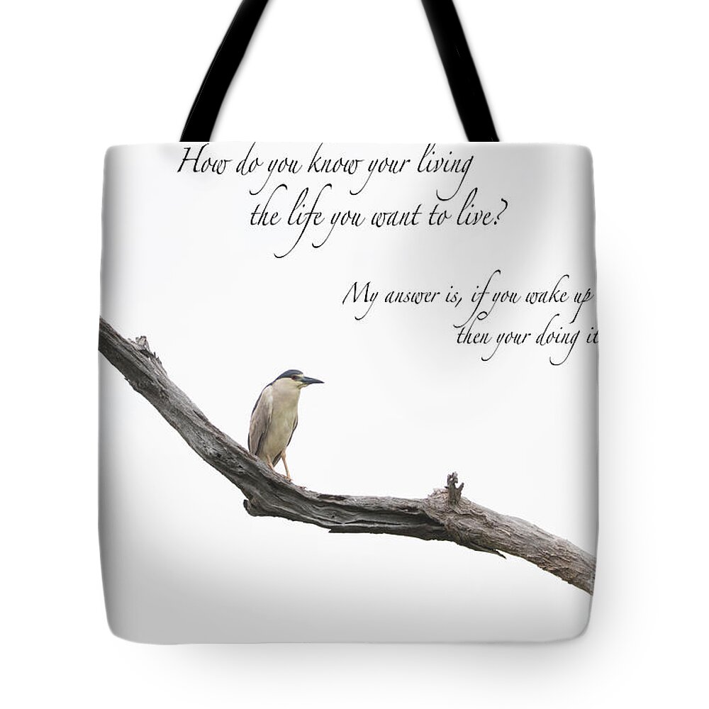 Bird Tote Bag featuring the photograph Hungry for Life by Metaphor Photo