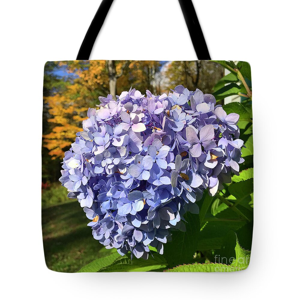 Hydrangea Tote Bag featuring the photograph Hydrangea 7 by Amy E Fraser