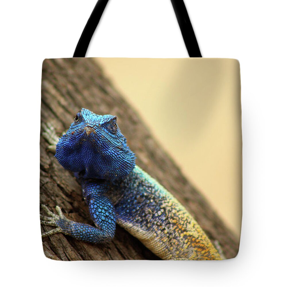  Tote Bag featuring the photograph I am turning Blue ... by Eric Pengelly