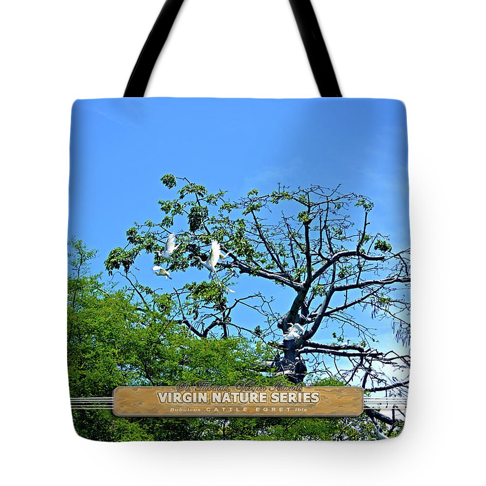 Cattle Egret Tote Bag featuring the photograph Ibis Risen - Virgin Nature Series by Climate Change VI - Sales