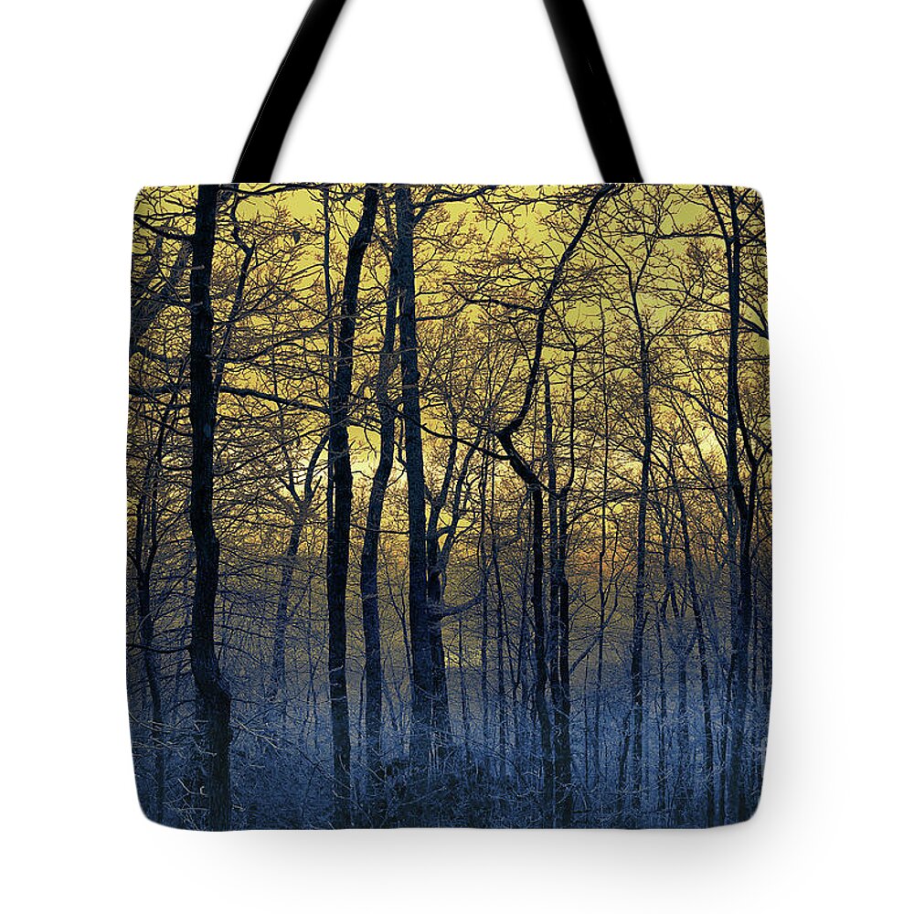 Woodland Tote Bag featuring the photograph Ice Cold by Mike Eingle
