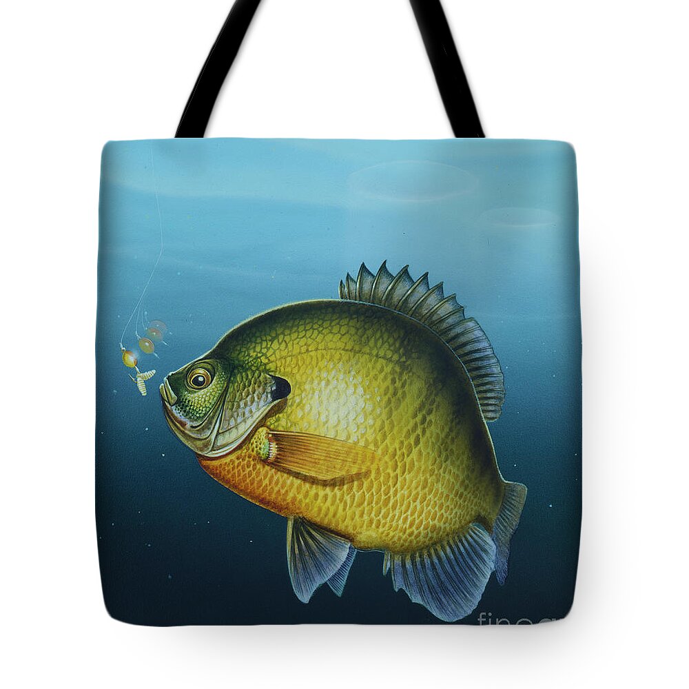 https://render.fineartamerica.com/images/rendered/default/tote-bag/images/artworkimages/medium/2/ice-fishing-for-bluegill-jon-wright.jpg?&targetx=0&targety=-50&imagewidth=763&imageheight=864&modelwidth=763&modelheight=763&backgroundcolor=122733&orientation=0&producttype=totebag-18-18