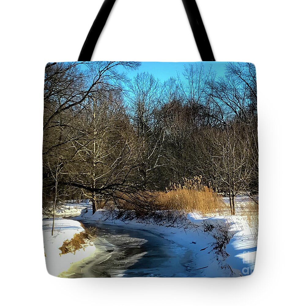 Ice Tote Bag featuring the photograph Ice Stream by William Norton
