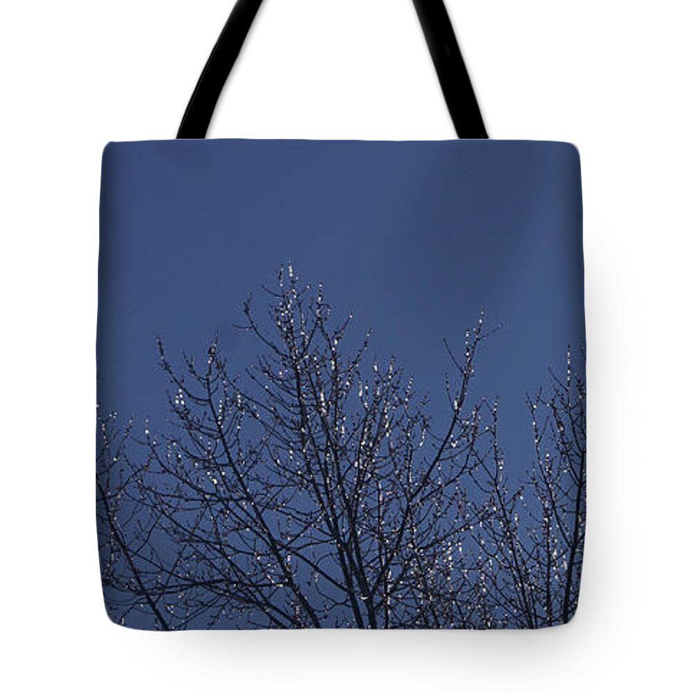 Nature Tote Bag featuring the photograph Ice Tree by Robert E Alter Reflections of Infinity