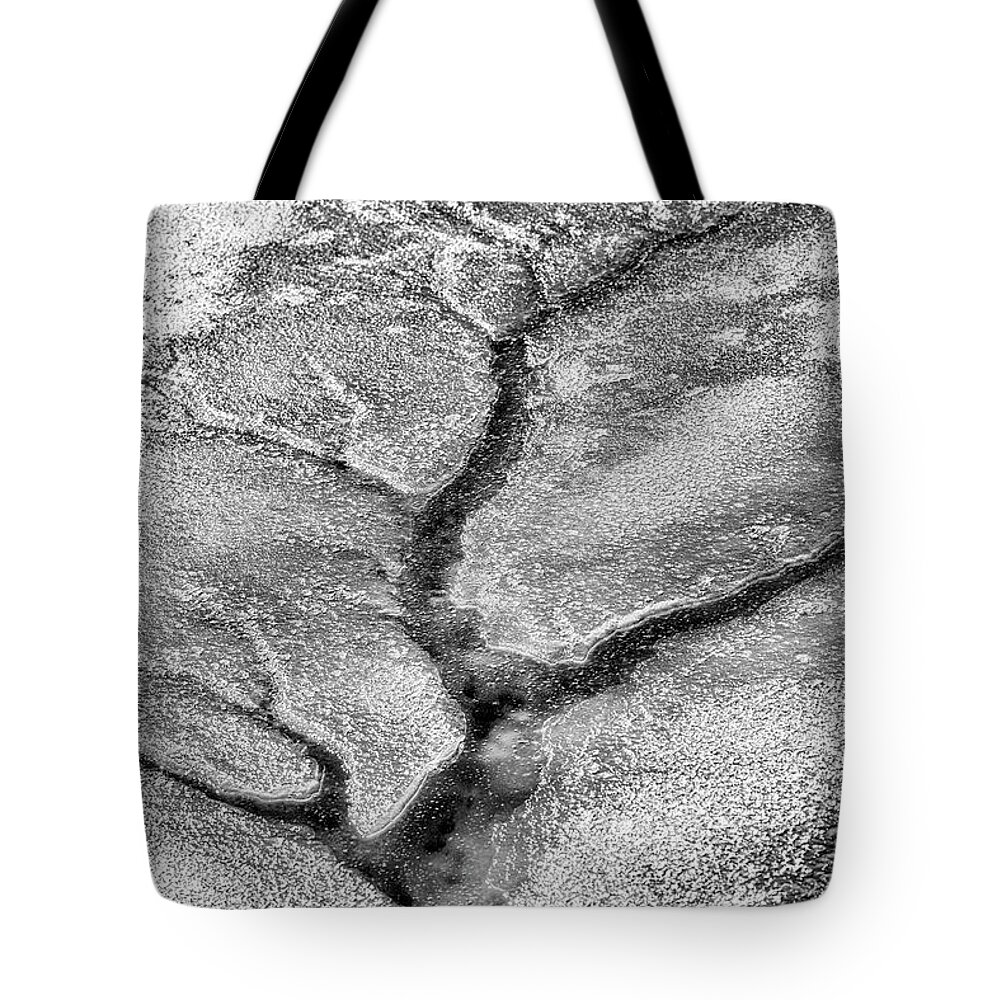 Ice Tote Bag featuring the photograph Ice Tree by Thomas R Fletcher