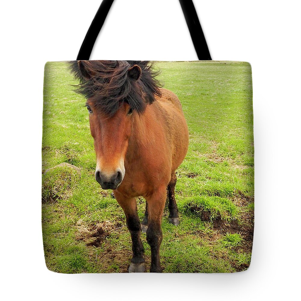 Iceland Tote Bag featuring the photograph Icelandic Horse with Tousled Mane by Marla Craven