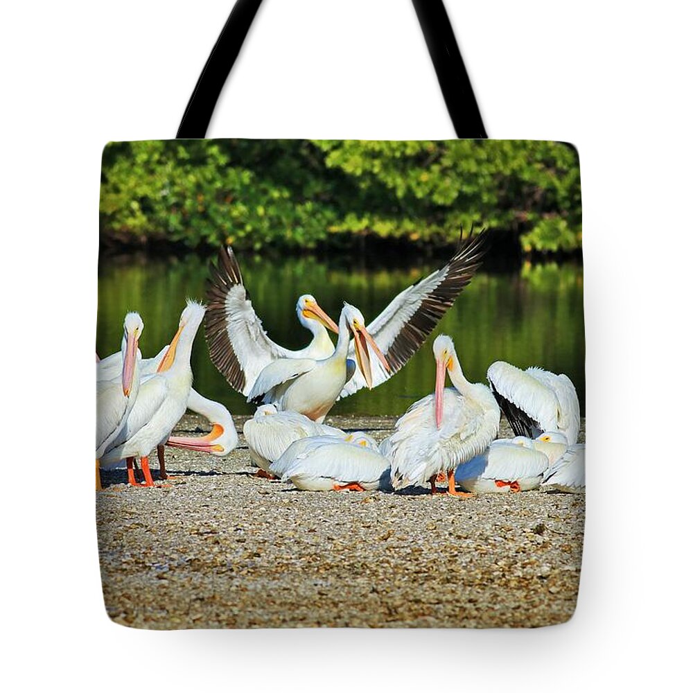 Pelicans Tote Bag featuring the photograph I'm Not Arguing I Am Explaining Why I Am Right by Michiale Schneider