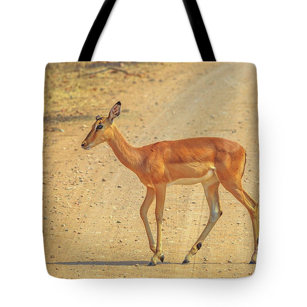 Impala Tote Bag featuring the photograph Impala female walking by Benny Marty