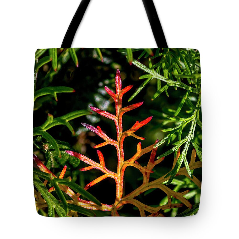 Green Tote Bag featuring the photograph In a sea of green by Shawn Jeffries