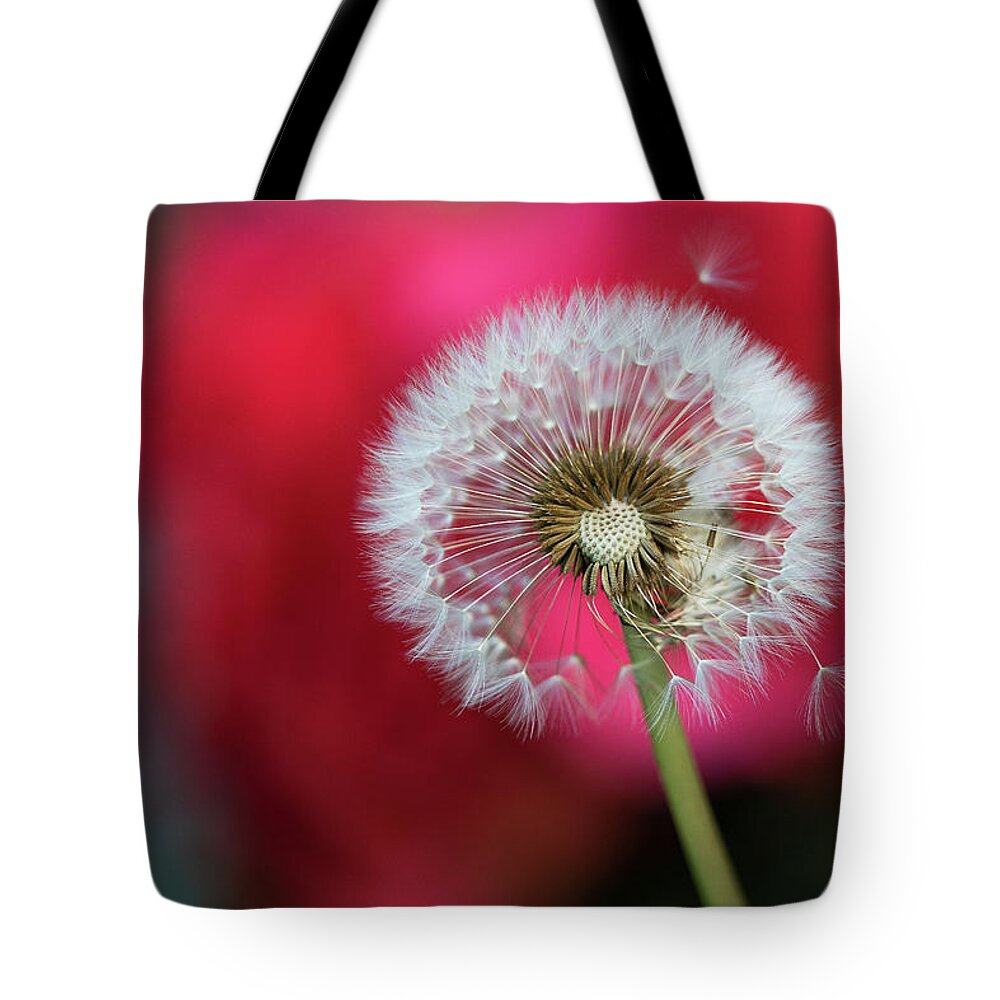 Dandelion Tote Bag featuring the photograph In Good Company by Vanessa Thomas