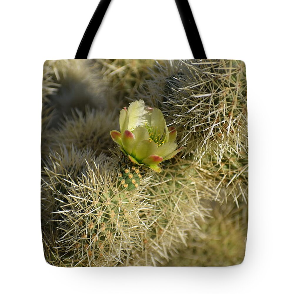 Teddy Bear Cholla Tote Bag featuring the photograph In The Arms Of A Teddy Bear by Janet Marie