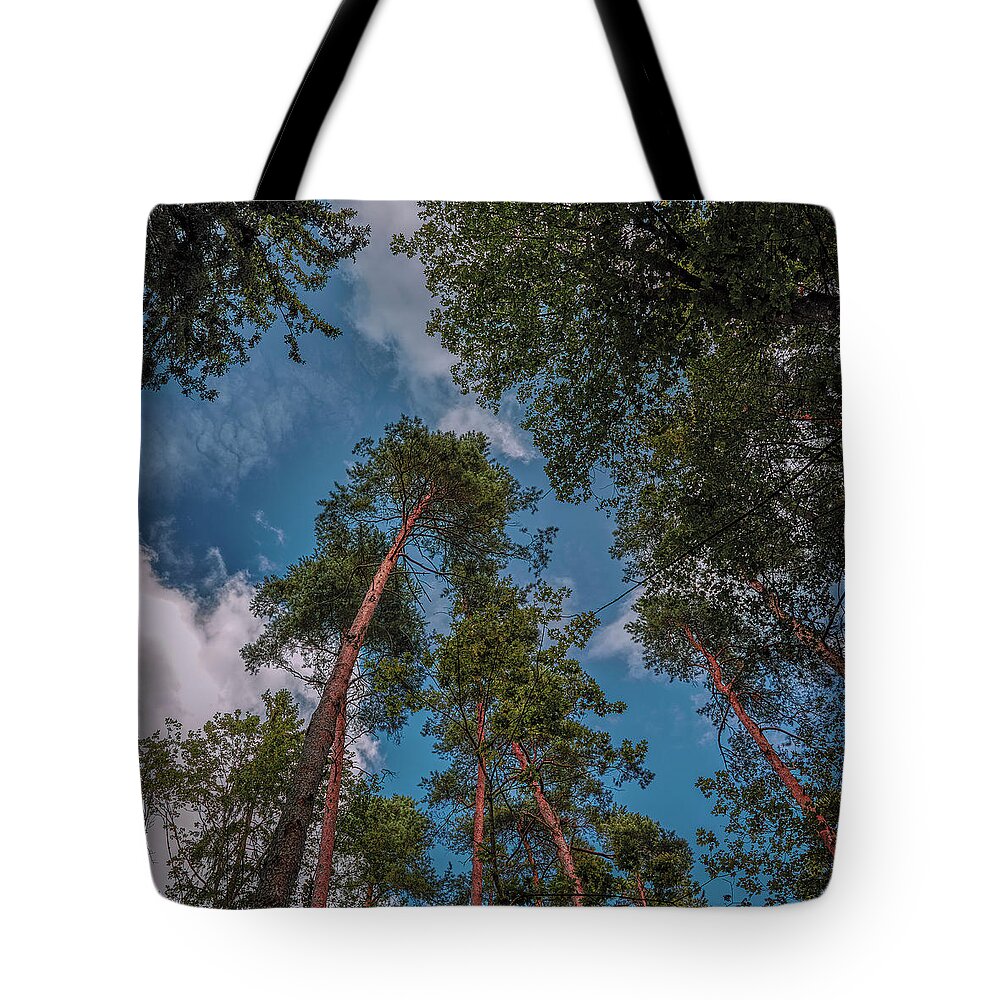 In The Blue Tote Bag featuring the photograph In The Blue #i0 by Leif Sohlman