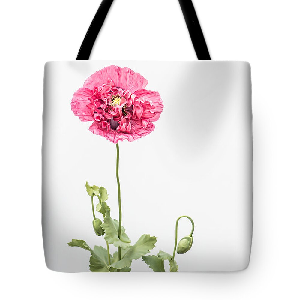 Poppy Tote Bag featuring the photograph In the Pink by Maggie Terlecki