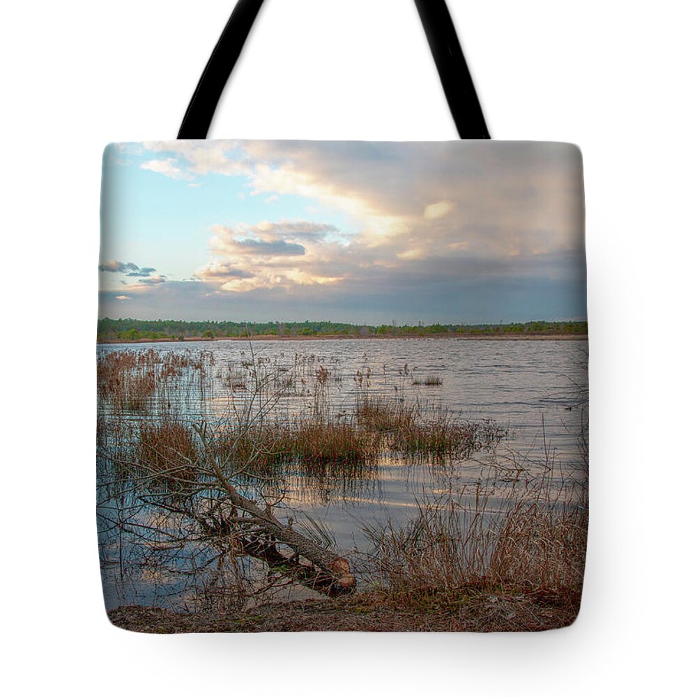 New Jersey Tote Bag featuring the photograph Incoming In The New Jersey Pine Barrens by Kristia Adams