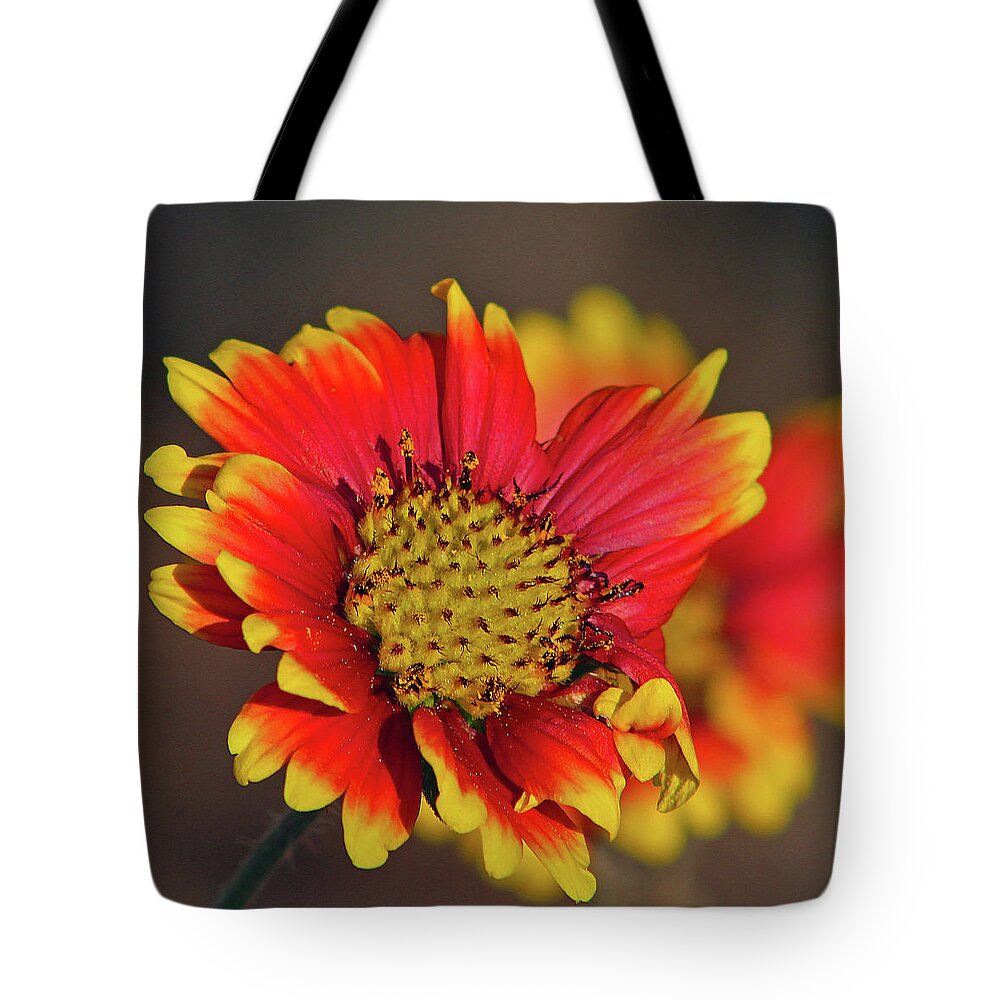 Flower Tote Bag featuring the photograph Indian Blanket by Michael Allard