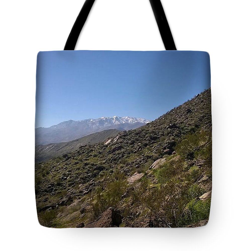 Landscape Tote Bag featuring the photograph Snow Peaks - Indian Canyons 1000 by Lee Antle