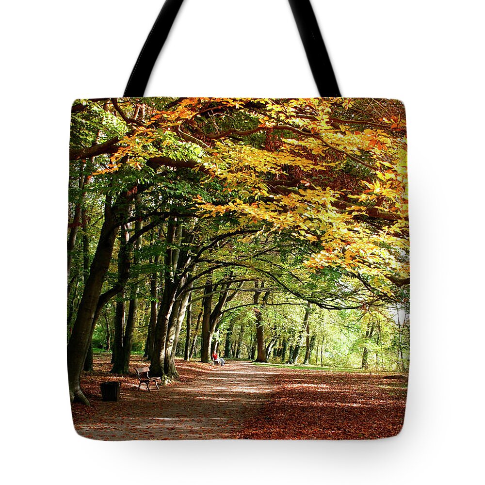Recreational Pursuit Tote Bag featuring the photograph Indian Summer by Hansuntch