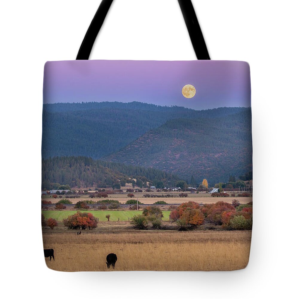 Plumas Tote Bag featuring the photograph Indian Valley, CA by Randy Robbins