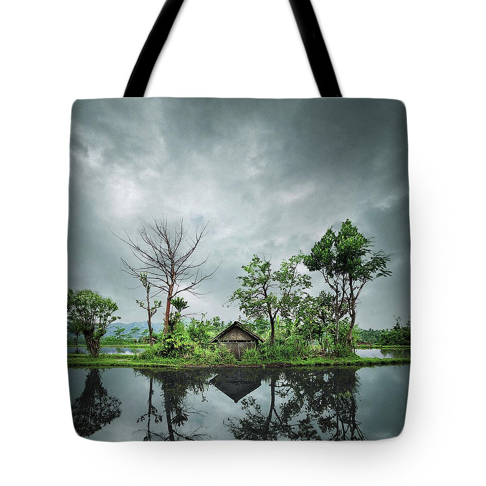 Eco Tourism Tote Bag featuring the photograph Indonesia, Bali, Shack In Rice Paddy by Ed Freeman