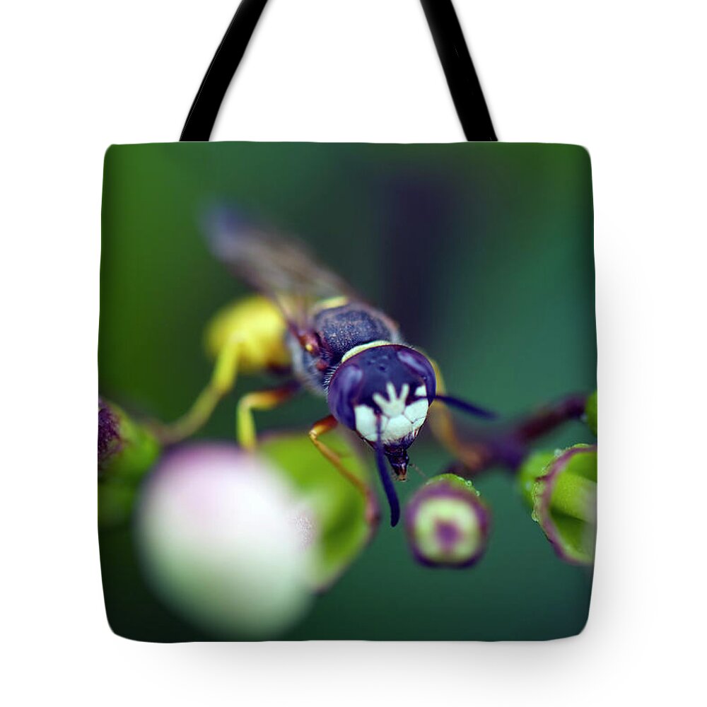 Insect Tote Bag featuring the photograph Insect Perching In Flower by Manuel M. Almeida