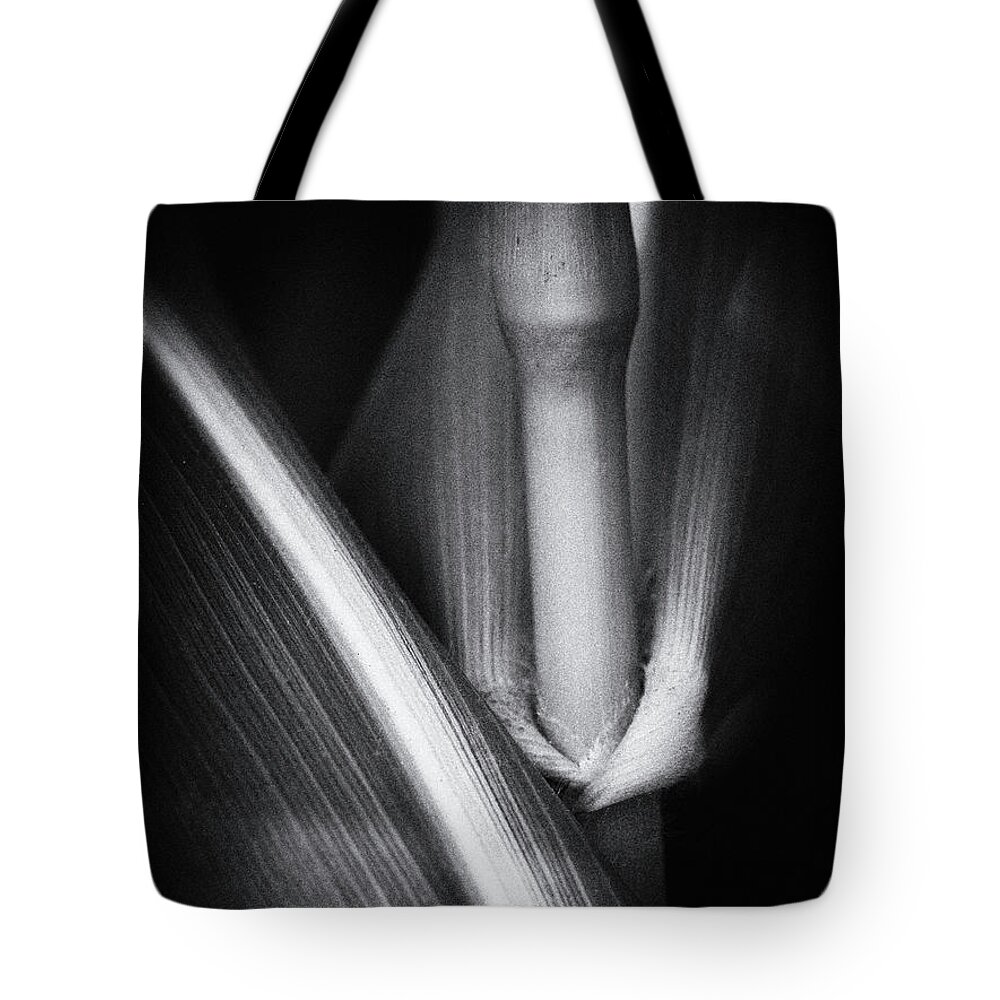 Corn Tote Bag featuring the photograph Inside View by Lynn Wohlers
