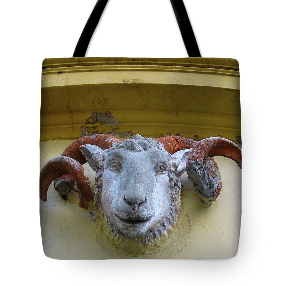 Sheep Tote Bag featuring the photograph Irish Ram by Kandy Hurley