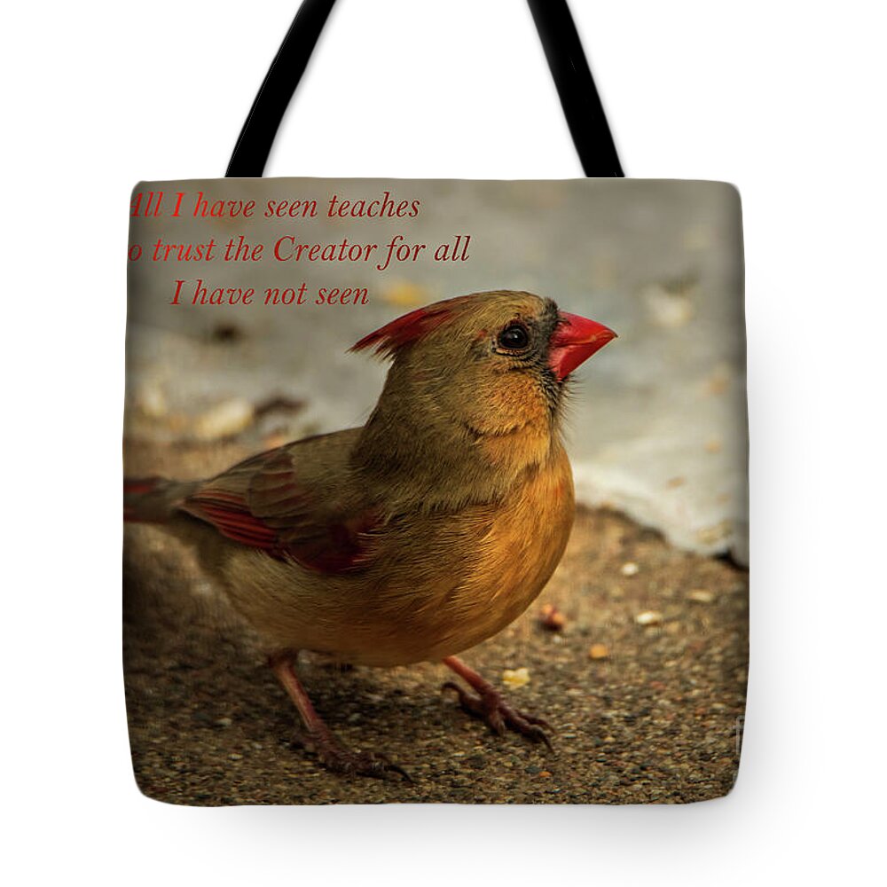 Inspiration Tote Bag featuring the photograph Ispirational Verse on Cardianl Photo by Sandra J's