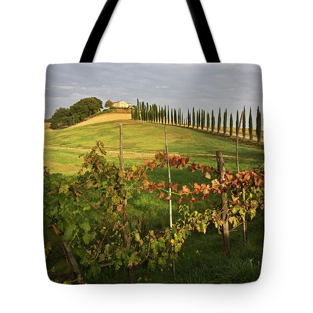 Scenics Tote Bag featuring the photograph Italy, Tuscany, Wine Estate by Westend61