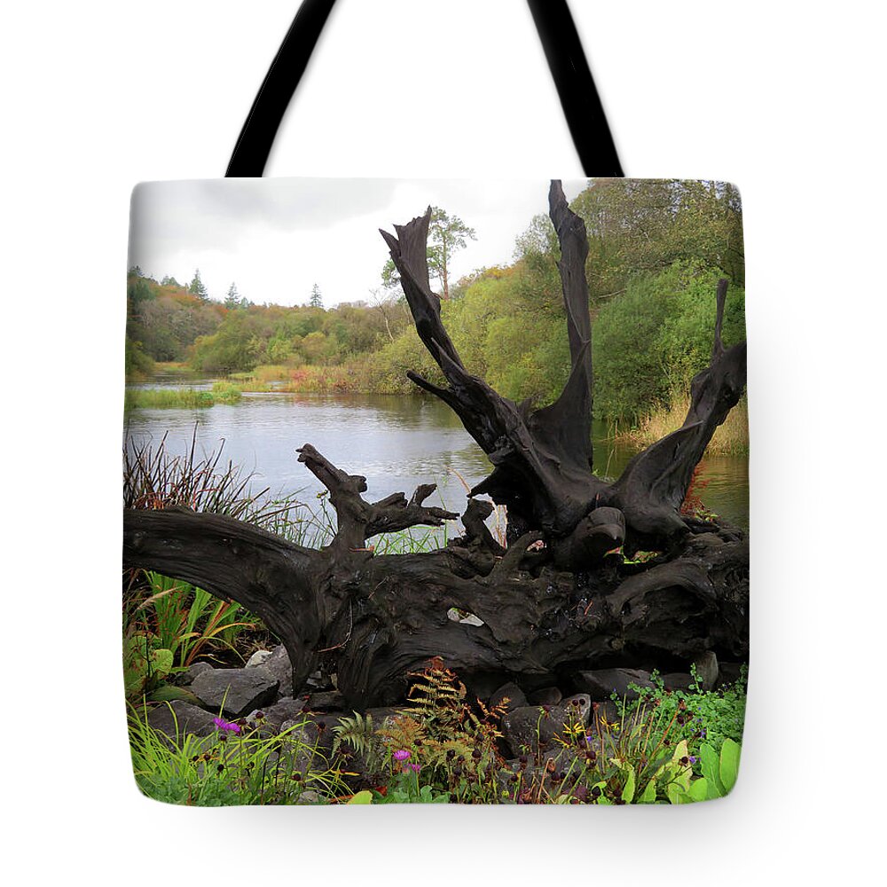 Ireland Tote Bag featuring the photograph It's a Natural World by Vicky Edgerly