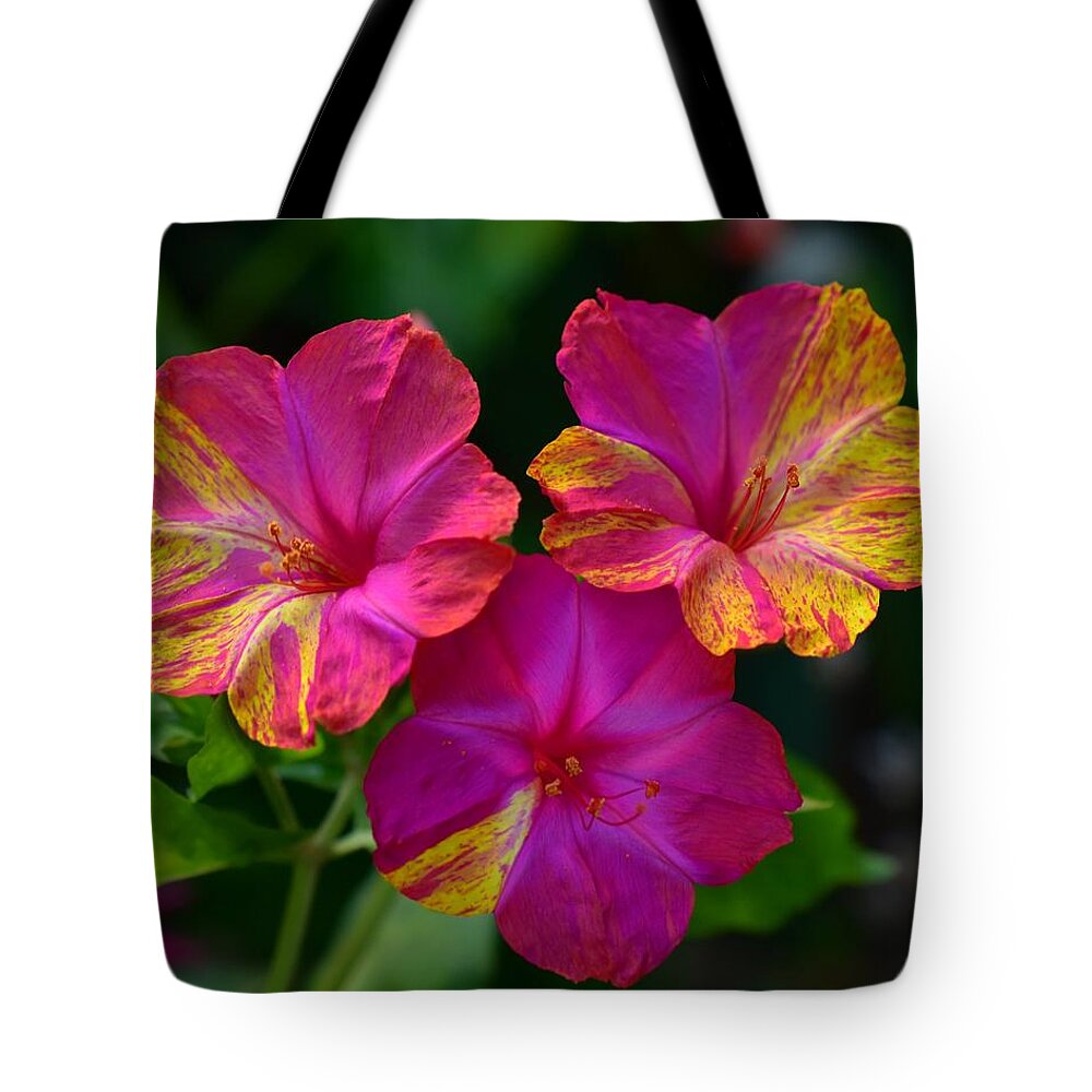 Four-o'clock Tote Bag featuring the photograph It's Four-O'clocks Somewhere by Chip Gilbert