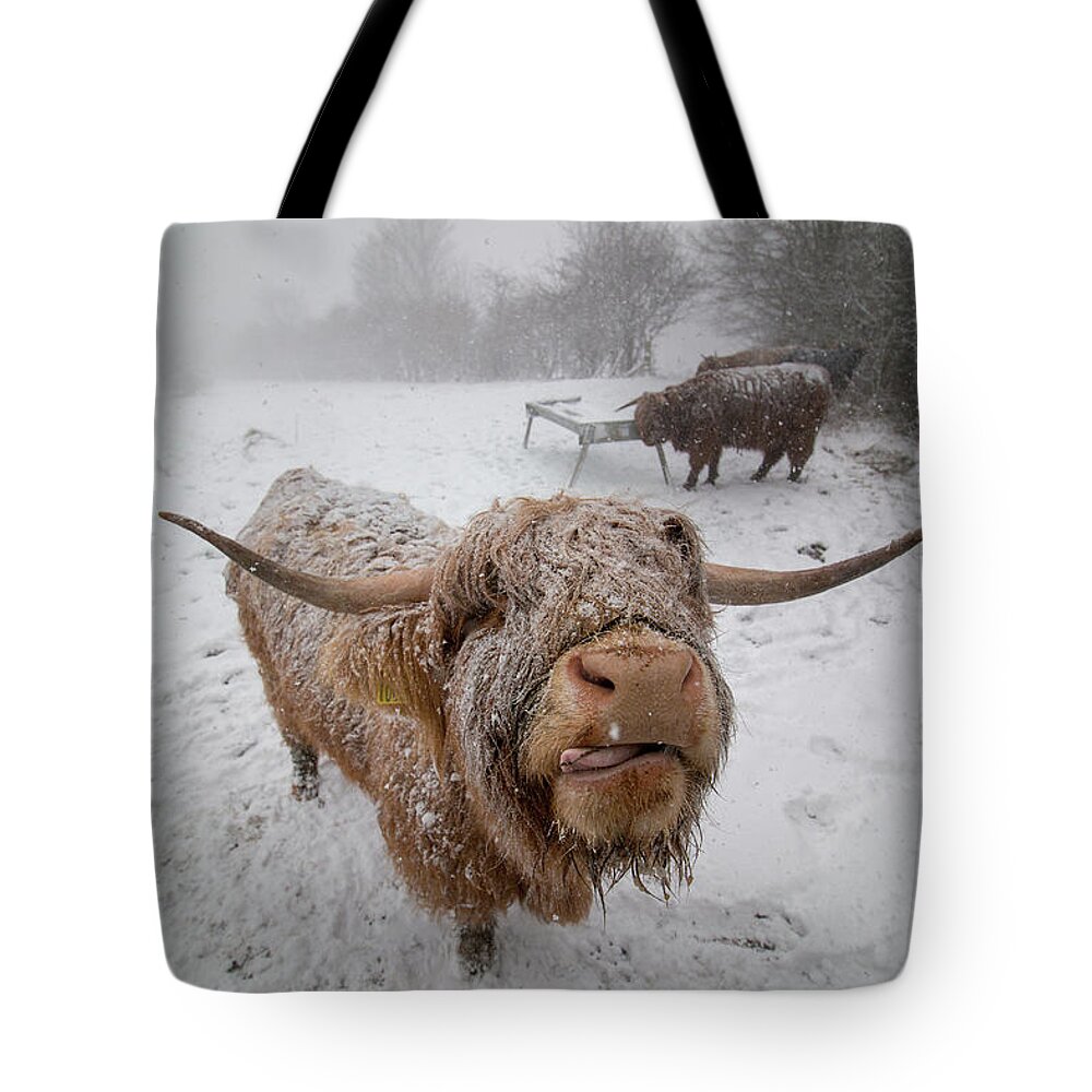 Adam West Tote Bag featuring the photograph It's Nae Cold by Adam West