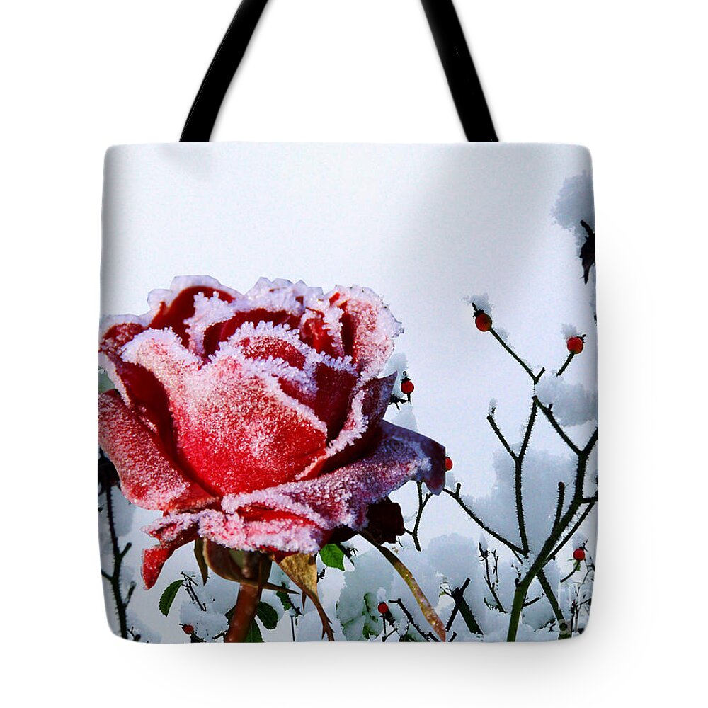 Red Rose Tote Bag featuring the mixed media Jack Frost by Morag Bates