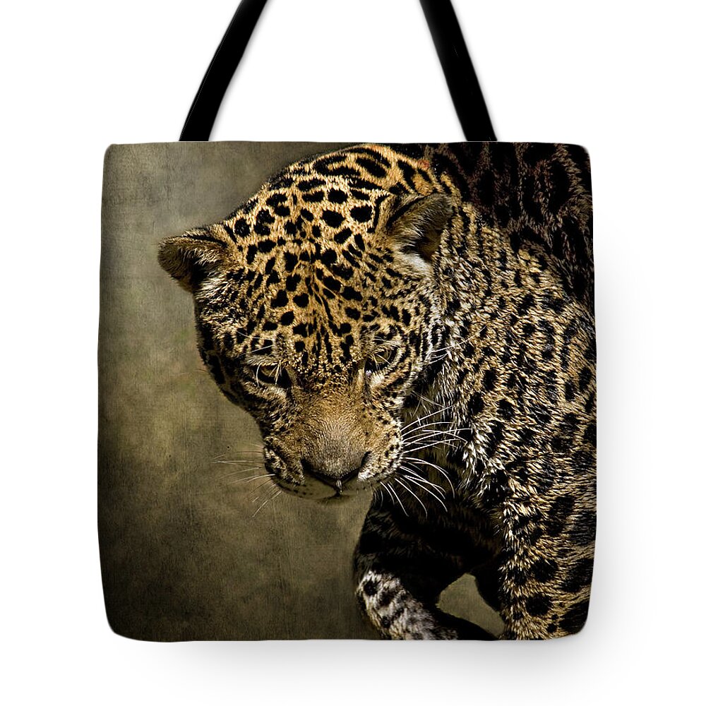 Big Cat Tote Bag featuring the photograph Jaguar On Prowl Hunting With Intent Gaze by Melinda Moore