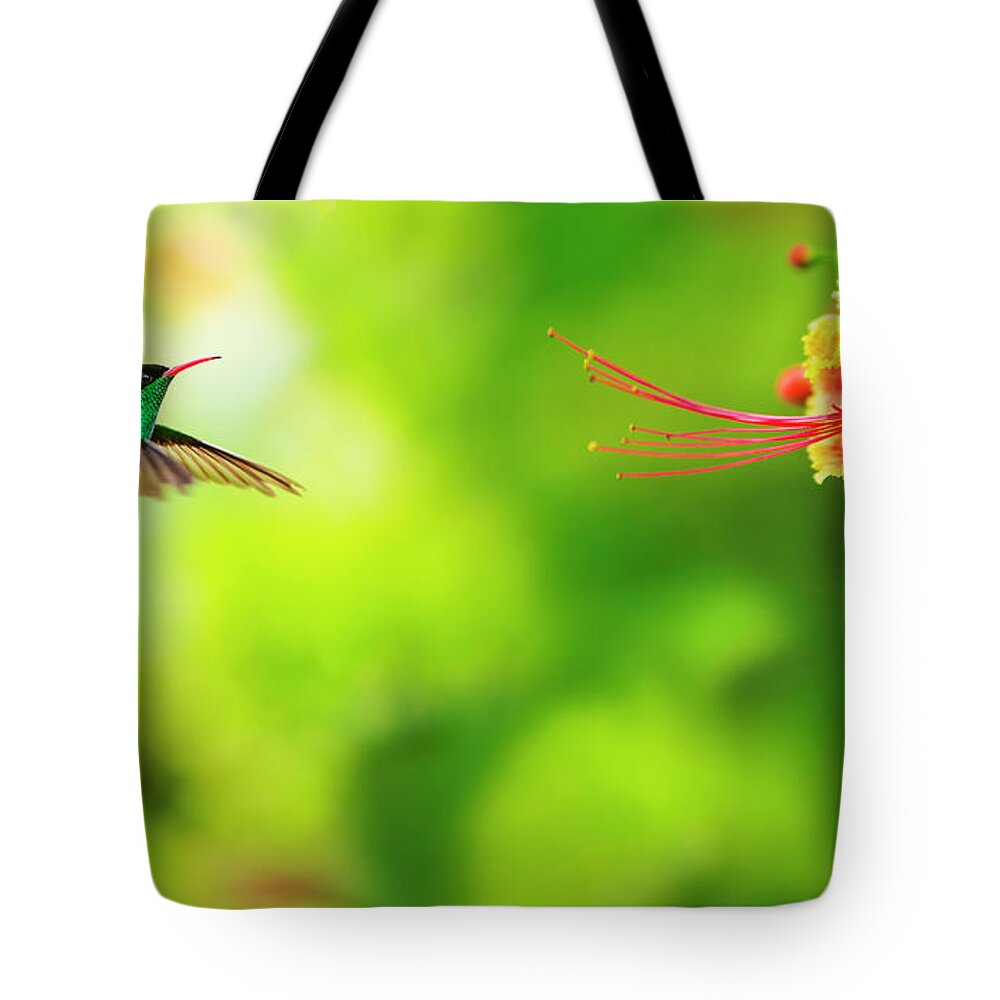 One Animal Tote Bag featuring the photograph Jamaica, Hummingbird In Flight by Tetra Images