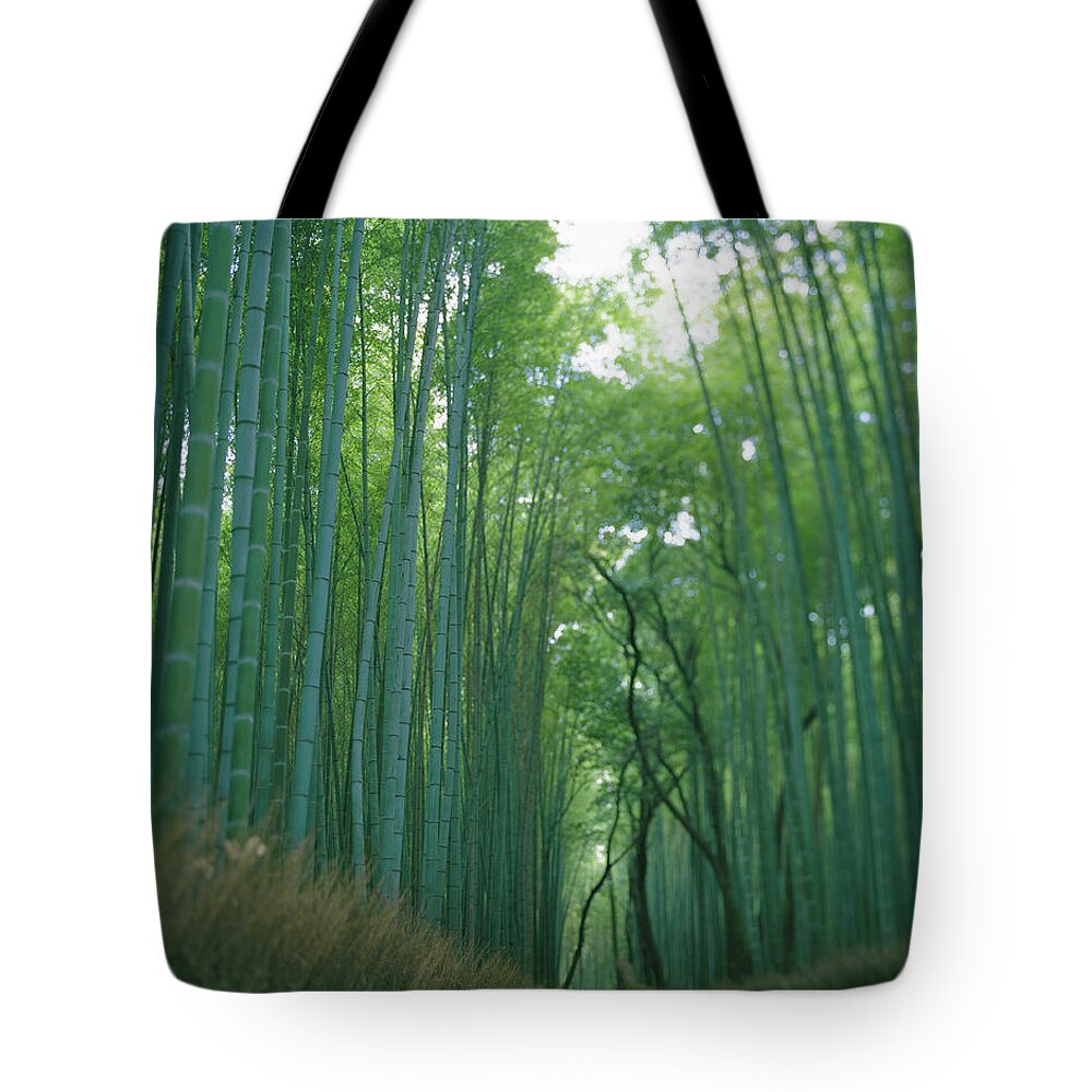 Scenics Tote Bag featuring the photograph Japan, Kyoto, Arasi-yama, Road Passing by Michael H