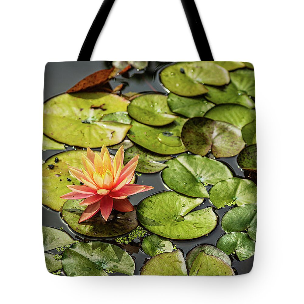 Landscapes Tote Bag featuring the photograph Japanese Garden-6 by Claude Dalley