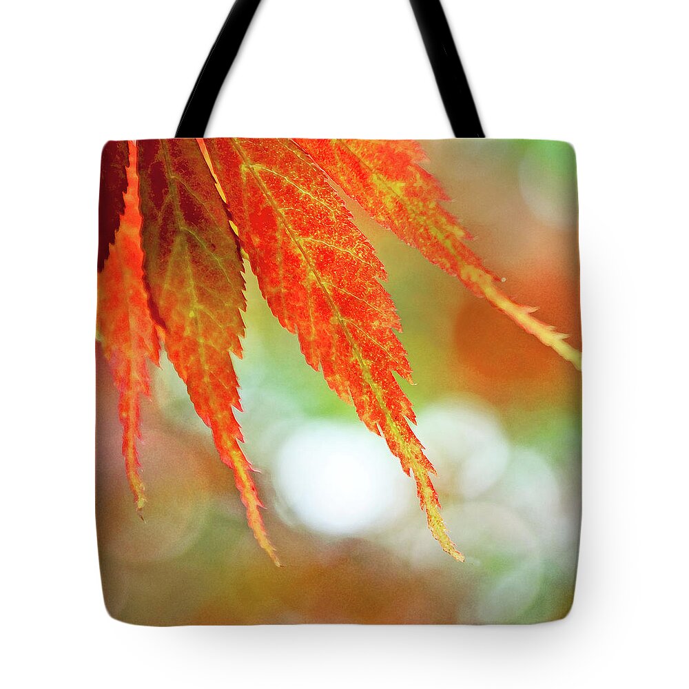 Outdoors Tote Bag featuring the photograph Japanese Maple by Nichola Sarah