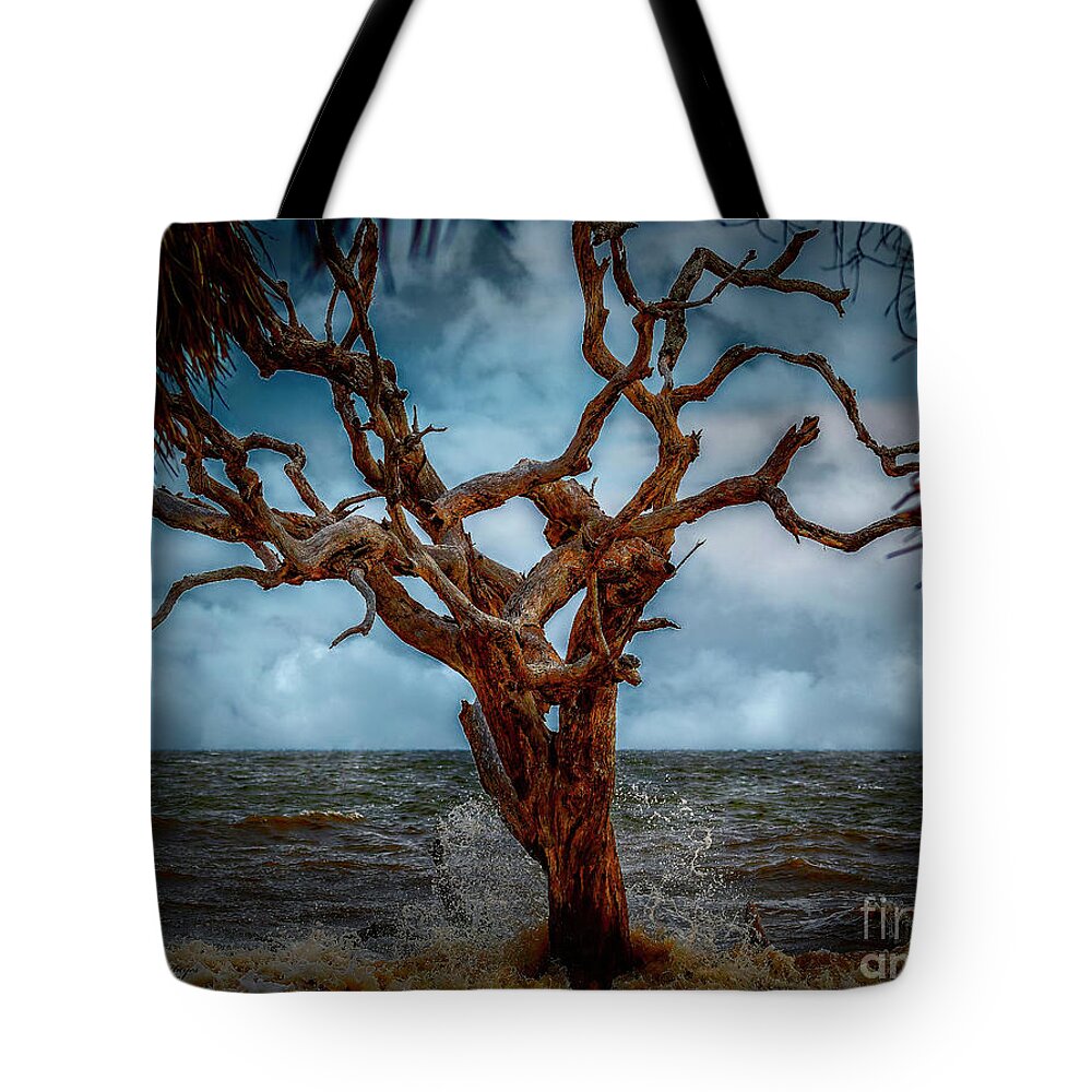 Seascapes Tote Bag featuring the photograph Jekyll's Driftwood Beach at High Tide by DB Hayes
